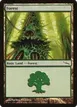 Forest #305