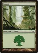 Forest #306