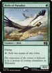 Birds of Paradise #170