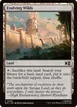 Evolving Wilds #240