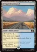 Irrigated Farmland #251