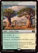 Scattered Groves #262