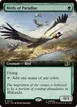 Birds of Paradise #377