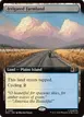 Irrigated Farmland #481