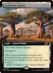 Scattered Groves #490