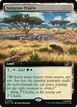 Sungrass Prairie #497