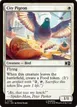 City Pigeon #769