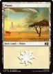 Plains #870