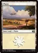 Plains #873