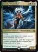 Storm, Windrider #230