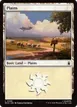 Plains #288