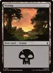 Swamp #291