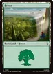 Forest #295