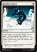 Panther Pounce #29