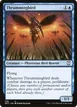 Thrummingbird #236