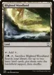 Blighted Woodland #388