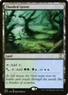 Flooded Grove #402