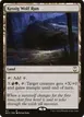 Kessig Wolf Run #411