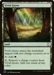 Vivid Grove #445