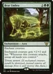 Bear Umbra #113
