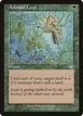 Animate Land #101