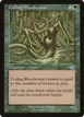Coiling Woodworm #103