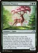Blossom Prancer #175