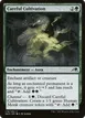 Careful Cultivation #178