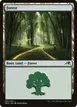 Forest #291