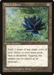 Black Lotus #2