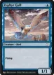 Zephyr Gull #23