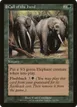 Call of the Herd #231