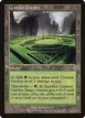 Centaur Garden #316