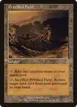 Petrified Field #323