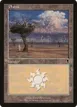 Plains #333