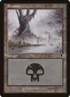 Swamp #341