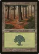 Forest #347