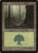 Forest #348