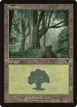 Forest #350