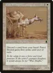 Patrol Hound #38