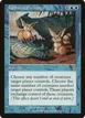 Cultural Exchange #79