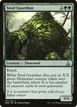 Seed Guardian #143