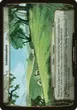 Goldmeadow #13