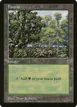 Forest #5