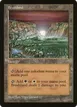Brushland #62
