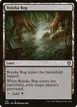 Bojuka Bog #145