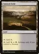 Tainted Field #167