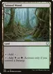 Tainted Wood #168