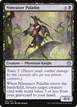 Nimraiser Paladin #101