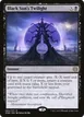 Black Sun's Twilight #84